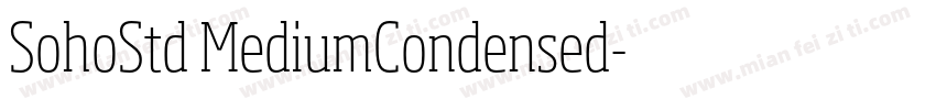 SohoStd MediumCondensed字体转换